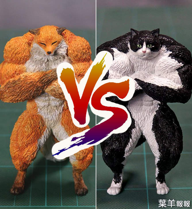 超爆笑還原模型《肌肉貓皇VS肌肉狐狸》夢幻般的強者對決就此展開 | 葉羊報報