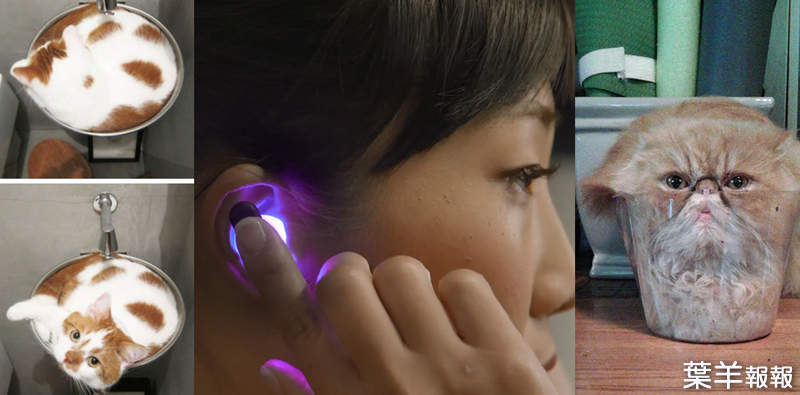 確定不是〝液態貓〞科技？《光塑形UE Fits無線藍牙耳機》60秒完全貼合你的耳型！ | 葉羊報報