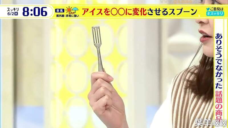 《日本募資話題魔法湯匙》這支湯匙可以讓冰淇淋變成霜淇淋？神秘功效讓人嘖嘖稱奇 | 葉羊報報
