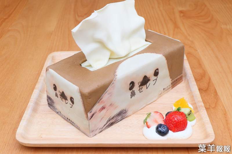 鼻貴族《保溼衛生紙蛋糕》美食料理化這樣的創意與巧思好厲害(口水) | 葉羊報報