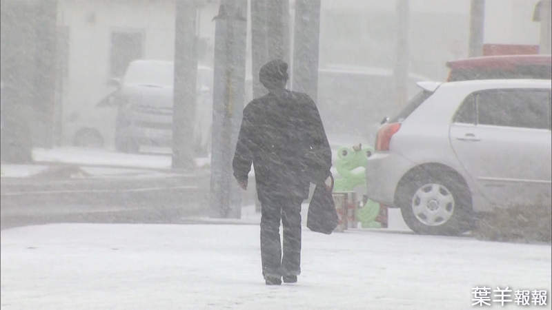 《北海道與關東的暴風雪比較》關東人所謂的風吹雪對道民來說不過只是下雪ww | 葉羊報報