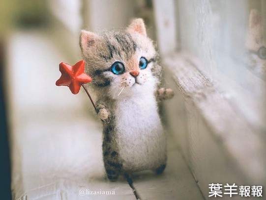 俄羅斯藝術家手做《可愛貓咪羊毛氈》那水汪汪的大眼不覺得看了超心動的嗎 | 葉羊報報