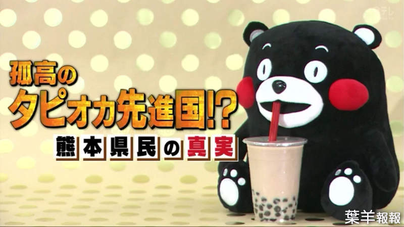 《熊本人吐槽日本珍珠熱》不懂東京人在瘋什麼 從15年前喝到現在早就習以為常了…… | 葉羊報報