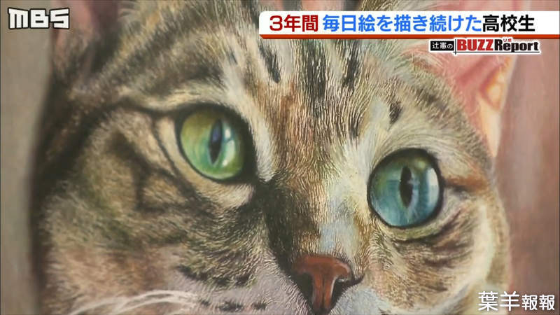 《色鉛筆繪師安部祐一朗》一張貓畫作紅遍全世界 17歲高中生勤奮練習超越照片的境界 | 葉羊報報