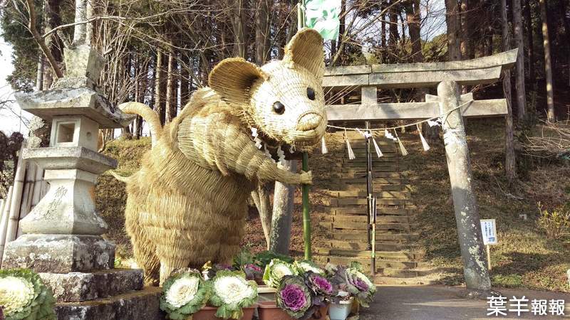 日本神社《鼠年的注連繩藝術》晚上看到這麼大隻老鼠應該蠻恐怖的吧ww | 葉羊報報