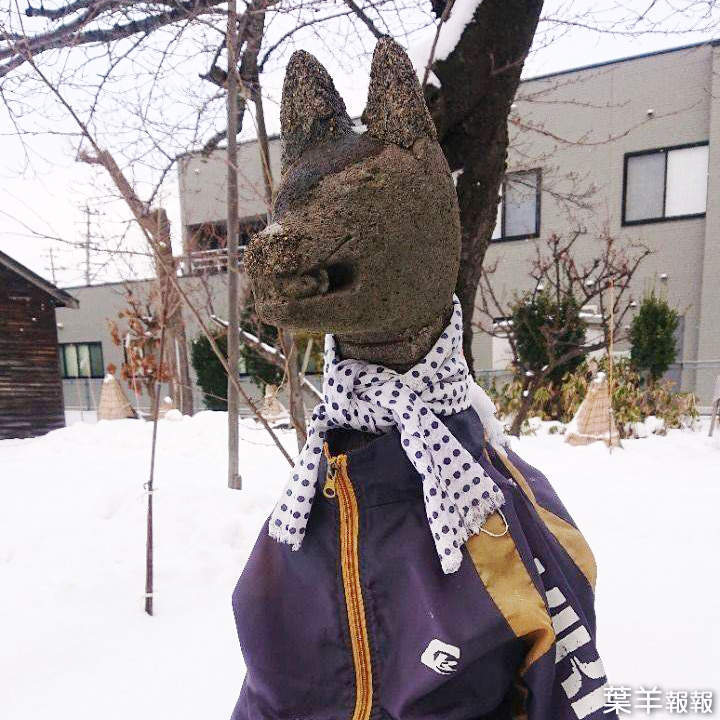 沖館稻荷神社《穿著風衣的狐像》不同季節悄悄換裝的狐狸雕像引發瘋傳 | 葉羊報報