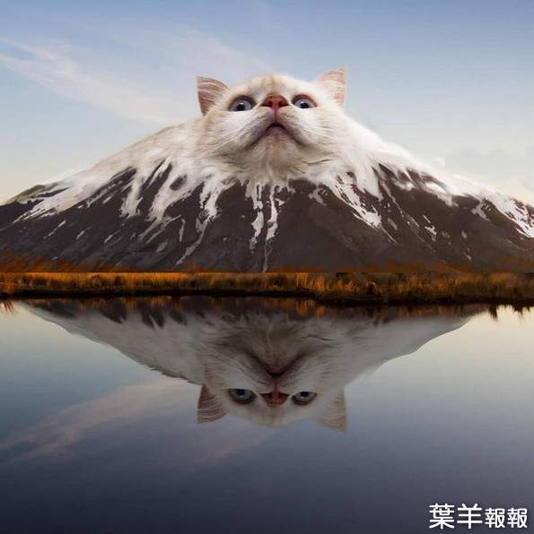 創意IG插畫《喵的勒富士山》有這樣的世界奇蹟我還不飛去日本看爆它 | 葉羊報報