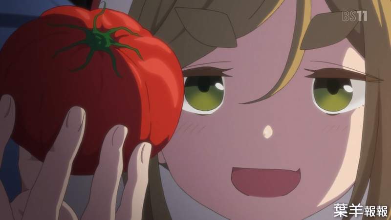 《不吃原料的神祕現象》喜歡番茄醬討厭吃番茄是怎麼回事？有人的情況竟然還相反…… | 葉羊報報