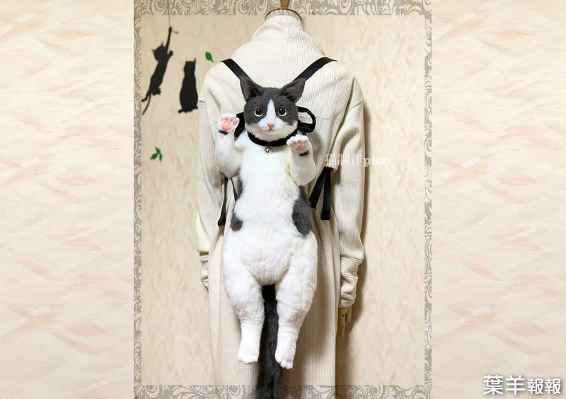 推主手工縫製《貓咪後背包》讓人驚豔的超高完成度~喵 | 葉羊報報