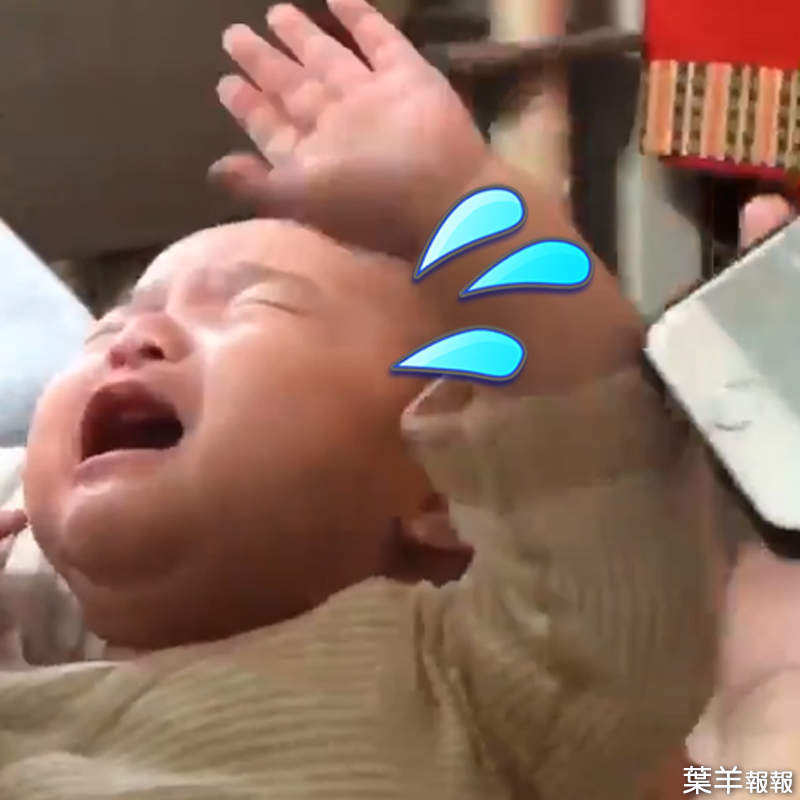 實際驗證《網路盛傳止哭妙招》給嬰兒聽反町隆史的《POISON》就會立刻停止哭鬧！？ | 葉羊報報