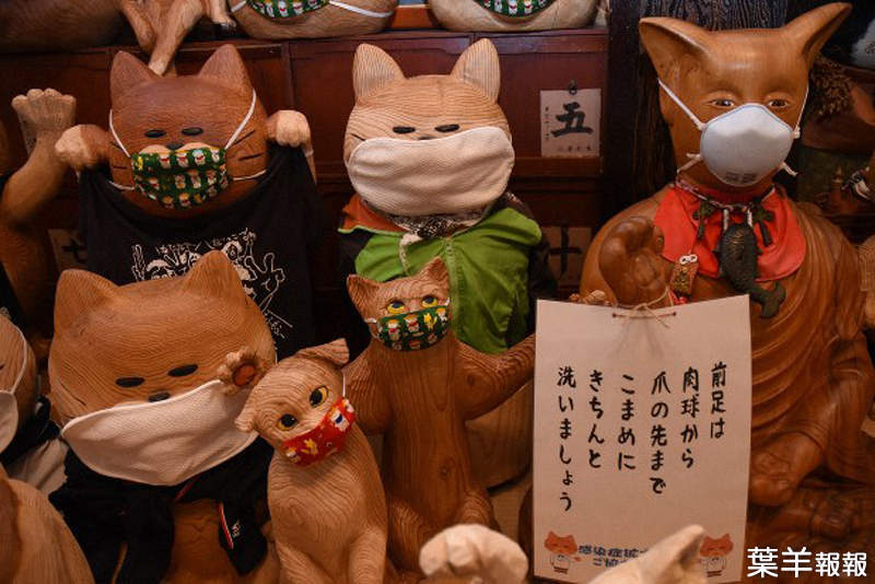 日本貓寺防疫大作戰《雲林寺》寺內貓咪為了對抗新冠病毒也開始戴起口罩... | 葉羊報報