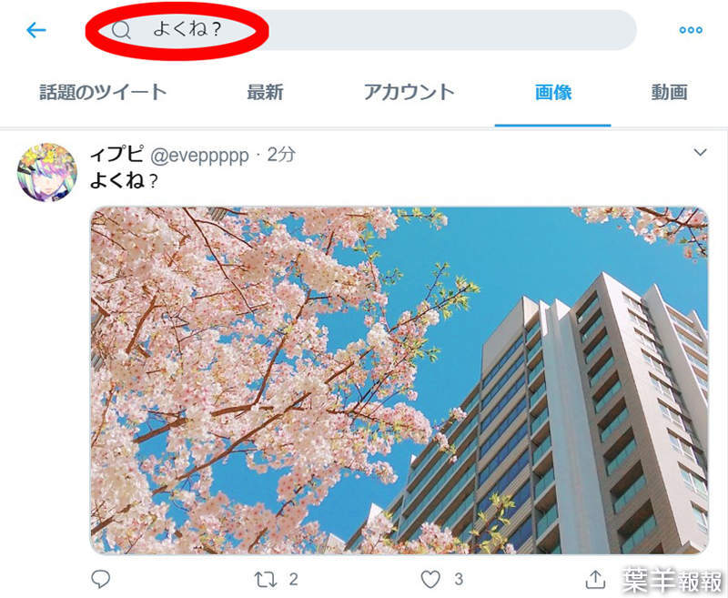 《推特搜尋櫻花照的另類方法》關鍵字改用「很棒吧？」竟然比「櫻」搜出更多圖片！？ | 葉羊報報