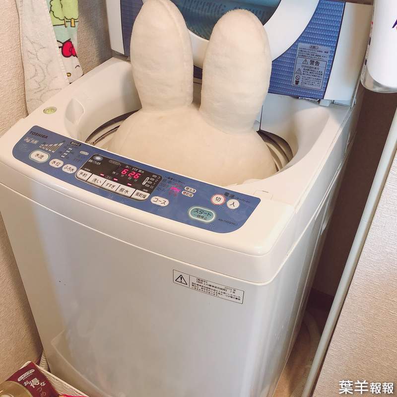 老公求救《大型玩偶的洗法》尺寸超越洗衣槽的大隻米飛兔，究竟要怎麼洗才是正解？ | 葉羊報報