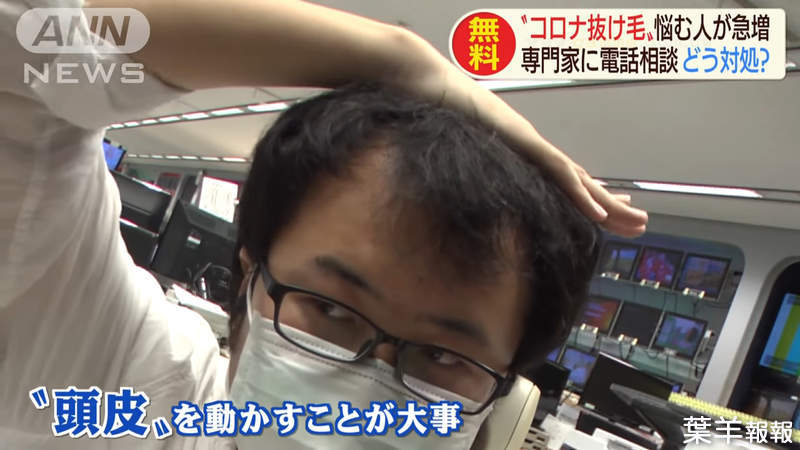 《日本人新冠掉髮爆增》窩在家裡躲肺炎會導致禿頭？網友吐槽不要什麼都推給病毒 | 葉羊報報
