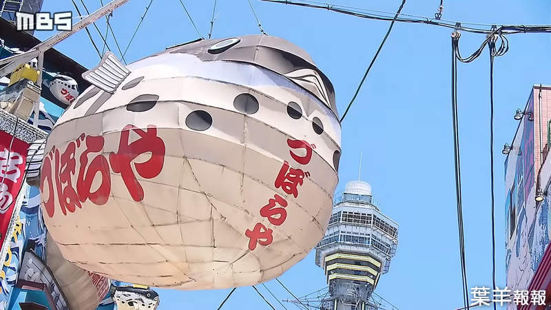 《河豚燈籠何去何從》大阪知名地標其實是違法招牌 政府還能睜一隻眼閉一隻眼嗎？ | 葉羊報報