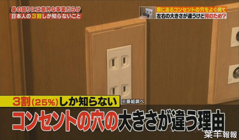 《電源插座有正負極》日本冷知識節目顛覆常識 網友取笑製作單位沒學過交流電 | 葉羊報報