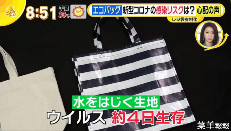 《店員擔憂購物袋不衛生》病毒在袋上最久可以活4天 高達6成日本民眾從來沒洗過 | 葉羊報報