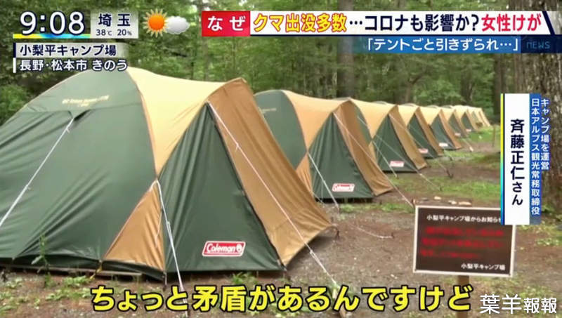 《露營新手常犯的錯誤》野熊入侵露營區襲擊露營客 將食物留在帳篷裡面簡直不要命 | 葉羊報報
