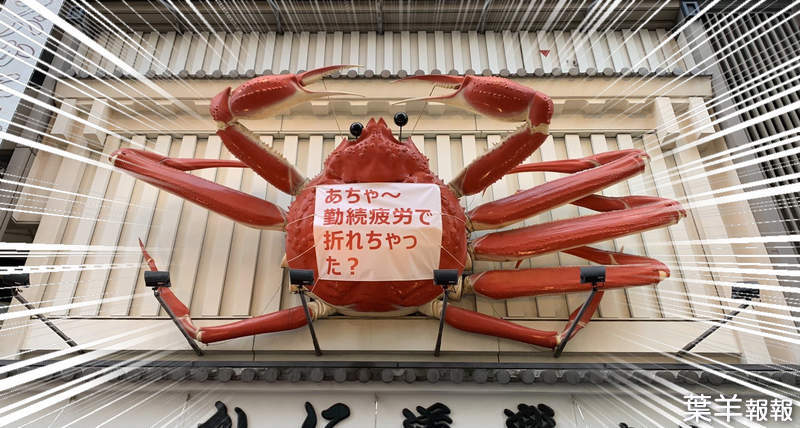 大阪道頓堀《蟹道樂》名物招牌上的螃蟹＂骨折＂！？少了兩隻腳的奇景引發拍照瘋傳 | 葉羊報報