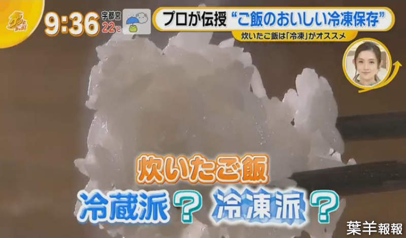 《煮好的白飯保存法》日本農會保證冷凍比冷藏美味 冰過的飯會難吃都是放錯地方了 | 葉羊報報