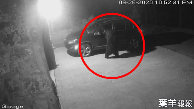 【有片】監視器拍到《會打開車門進去查看的熊》以為遭小偷結果拍到了不得了的東西 | 葉羊報報