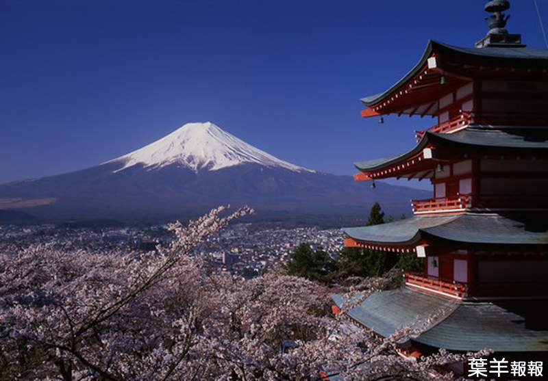 《新倉山淺間公園》外國人比日本人還熟的景點？網友竟以為是京都與富士的合成圖 | 葉羊報報