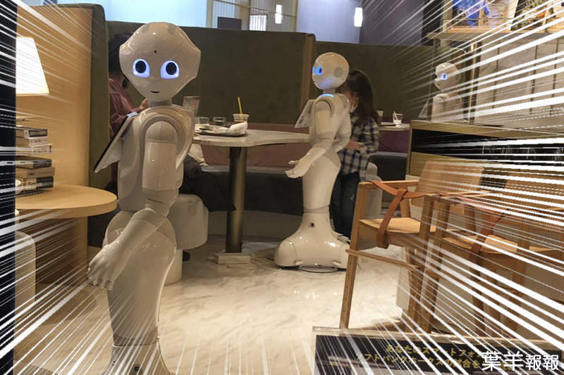 《隔壁桌的Pepper君》機器人主題餐廳裡來自別桌的強烈視線讓人不寒而慄... | 葉羊報報