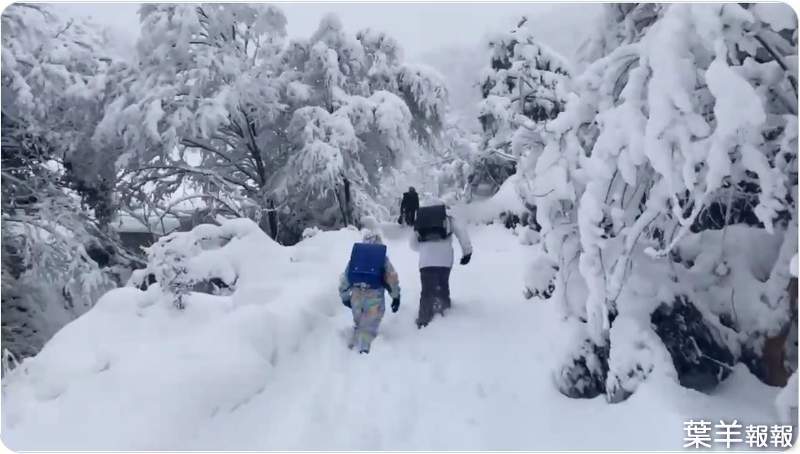 【有片】日本降大雪《最艱辛的上學路》每走一步只更想放棄的孩子背影引發瘋傳 | 葉羊報報