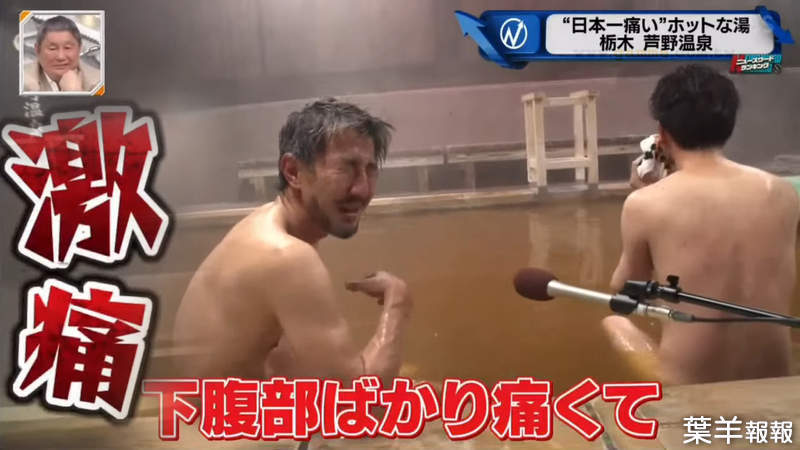 《日本第一痛蘆野溫泉》泡５分鐘讓人痛到哇哇叫 追求放鬆的溫泉在這裡成了一種虐待 | 葉羊報報