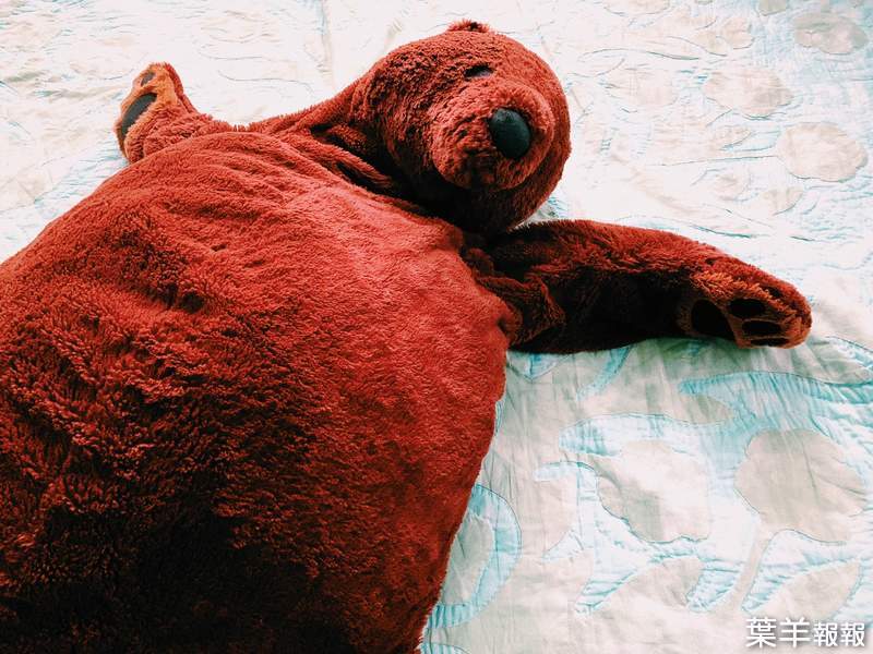 IKEA《看起來超懶的熊熊玩偶》我幹嘛要買一個跟我很像的娃娃放在家裡呢？ | 葉羊報報