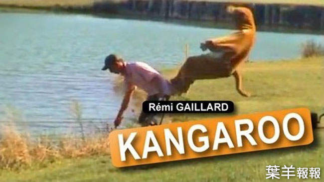 世界第一鬧youtuber《雷米蓋拉德》3月拍新片愛惡作劇的他捲土重來啦 | 葉羊報報