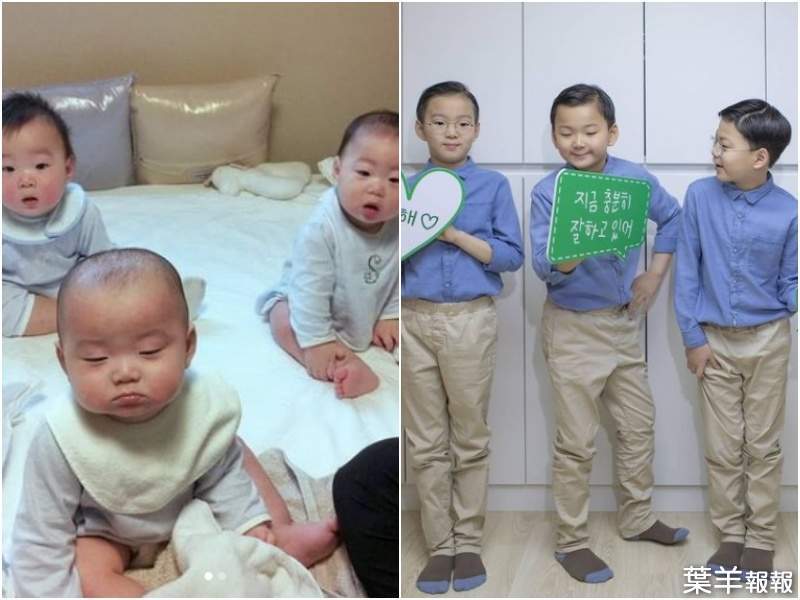 韓國《三胞胎》大韓、民國、萬歲暴風式成長   才小三就有驚人長腿 | 葉羊報報