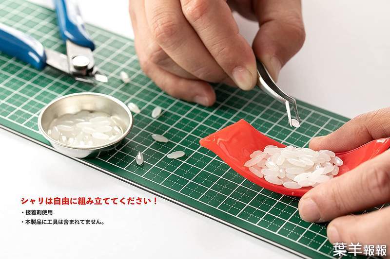 《SYUTO超逼真壽司模型》364粒醋飯讓你慢慢黏 還可以學師傅一把捏出鮪魚鮭魚握壽司 | 葉羊報報