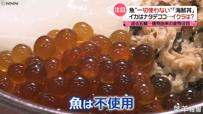 《東京奧運的素海鮮風潮》沒有魚的海鮮丼？台灣產的素食生魚片備受重視 | 葉羊報報