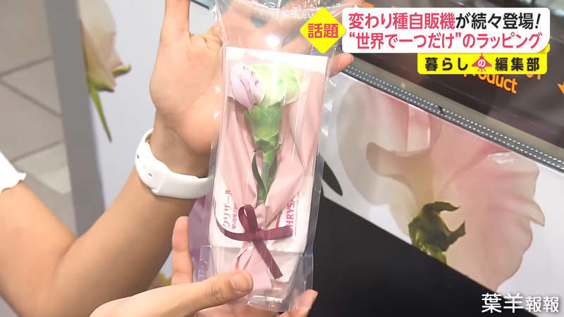 日本第一個《鮮花販賣機》各式種類而且包裝精美甚至還有「花籤」運勢占卜喔 | 葉羊報報