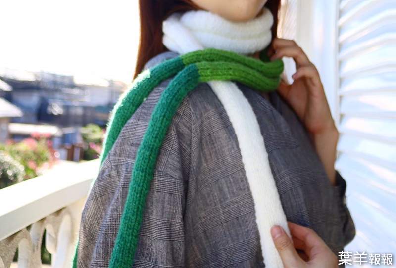 冬季必備小物《大蔥圍巾》圍在身上說不定能緩解感冒還曾家抵抗力(誤) | 葉羊報報