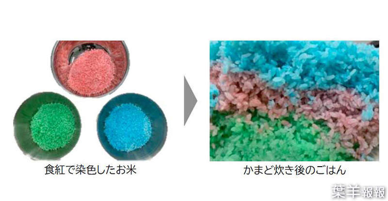 《電飯鍋裡的米飯會跳舞？》日本家電廠商將米染色做實驗 證實常見的廣告台詞根本是誇大 | 葉羊報報