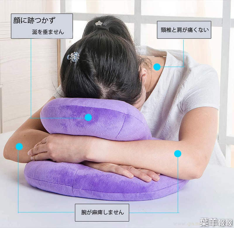 《趴睡枕的18禁用途》拿來當作飛機杯固定器超好用？不知情網友下訂被家人追問超尷尬 | 西斯新聞