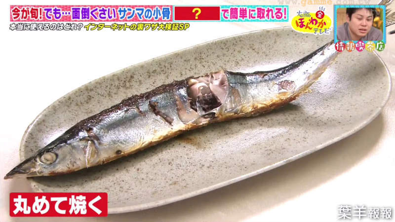 《輕鬆吃秋刀魚的方法》其實在烤的時候已經定勝負 學會這個訣竅再也不用一直挑骨頭 | 葉羊報報