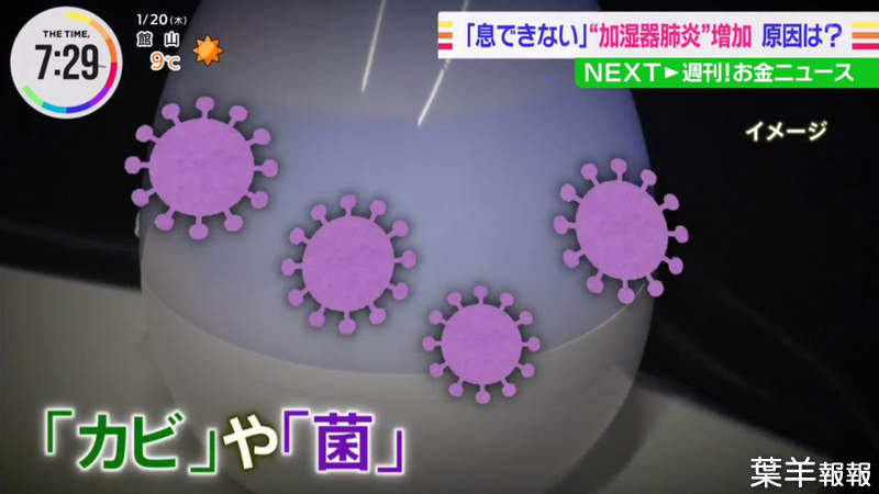 《日本網友染上加濕器肺炎》沒有頻繁換水超危險 加錯水也會變成細菌的溫床 | 葉羊報報