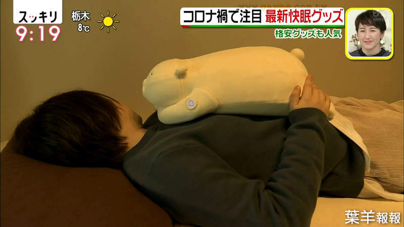 《安眠熊布偶Oyasumi Goospy》失眠睡不好的救星 抱著牠可以幫助你一晚好眠 | 葉羊報報