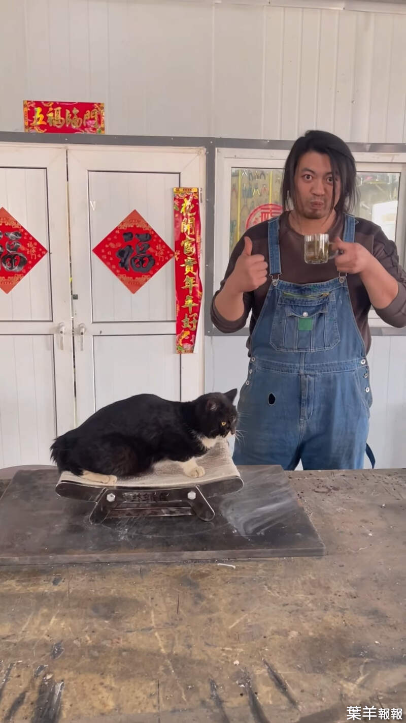 手工耿Handy Geng製作《鋼鐵貓抓板》物理防禦100%，這個還能坐斷算我輸 | 葉羊報報