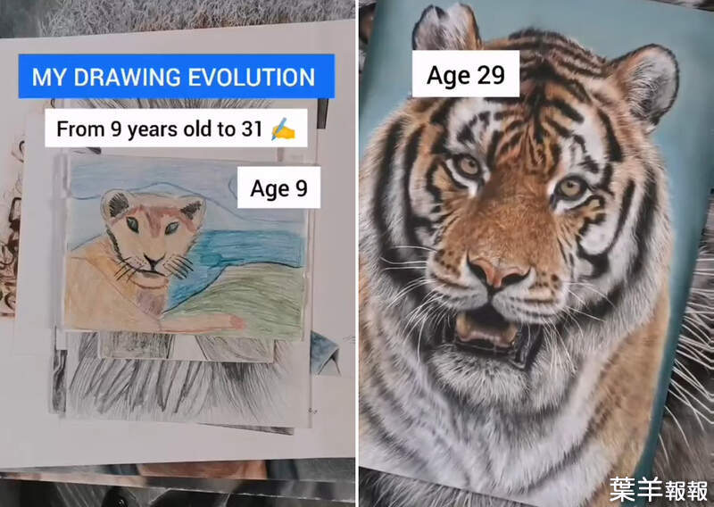 網友分享《9歲到31歲的畫畫進步歷程》一樣是獅子努力下來結果大不同 | 葉羊報報