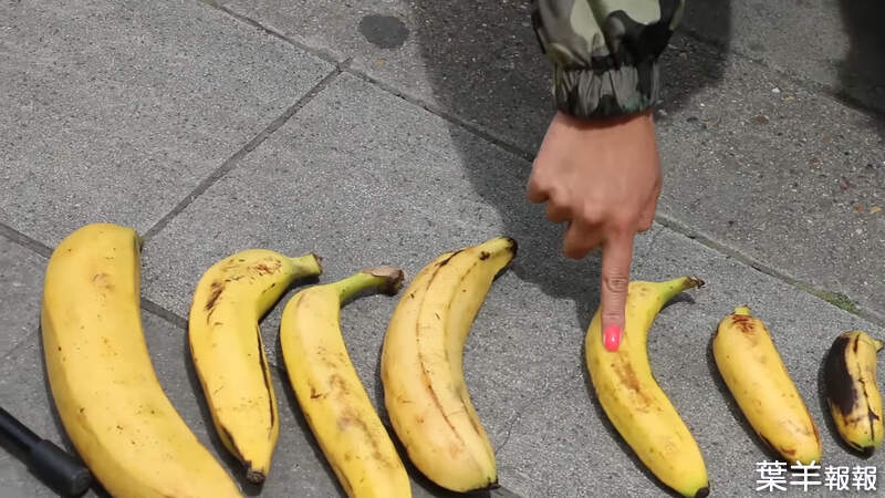 youtuber街訪《女高中生理想的香蕉大小》八種尺寸大小看看女孩最喜歡哪一種？ | 葉羊報報