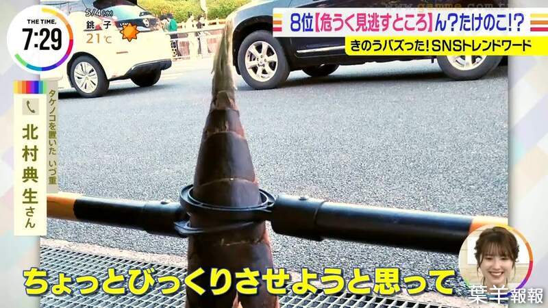 《竹筍偽裝交通錐》日本京都讓路人傻眼的珍奇景象 電視台深入追查的真相是…… | 葉羊報報