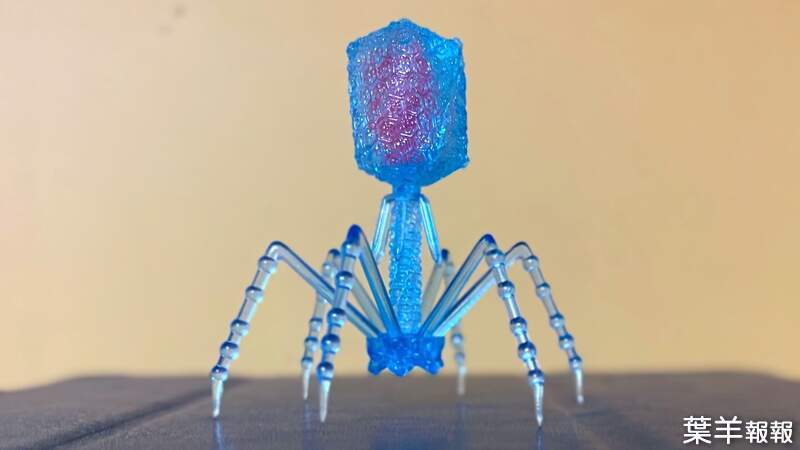 趣味扭蛋《T4噬菌體》受到網友高度喜歡的病毒型轉蛋玩具 | 葉羊報報
