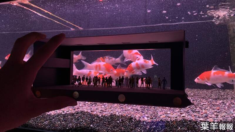 微型藝術家製作《超迷你水族館》感覺就像看到各種海王類游來游去 | 葉羊報報