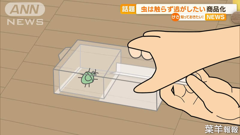 馬上抓立即放《日本新式捕蟲盒》免打扁也不會直接弄髒手，方便好用的話題熱銷商品 | 葉羊報報